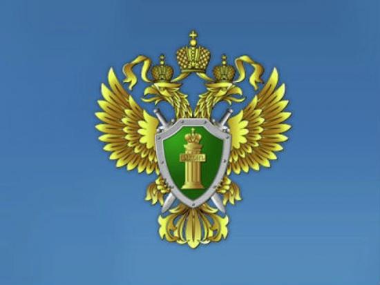 Жителя Тайшета обвиняют в покупке незаконно заготовленной древесины на 25 млн рублей