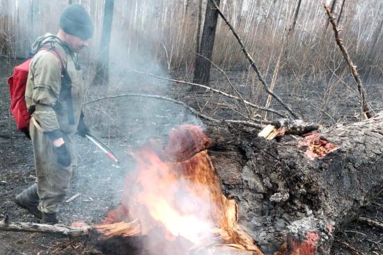 Семь вновь обнаруженных возгораний потушили в Иркутской области на общей площади 174 га