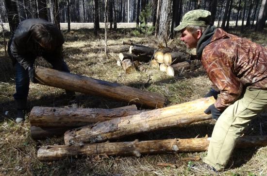 Леса около населенных пунктов в Иркутской области очистят от валежника