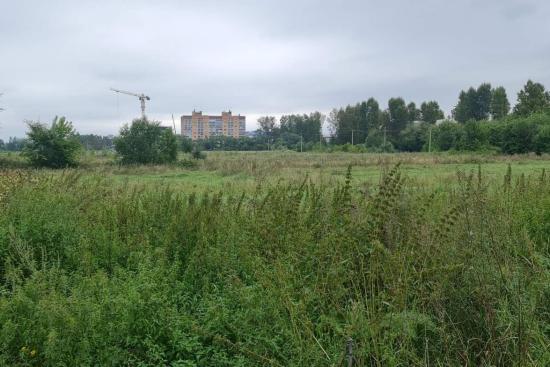 Новую школу планируют построить в предместье Рабочее Иркутска