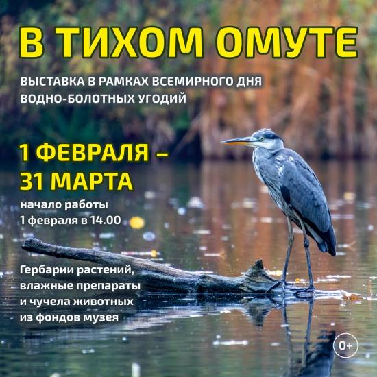 Выставка «В тихом омуте» откроется в Иркутском краеведческом музее ко Дню водно-болотных угодий