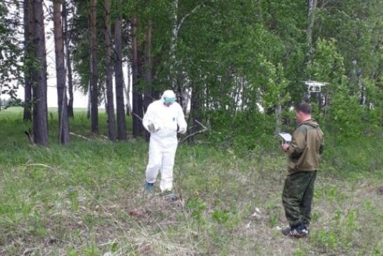 Территория вакцинации против бешенства диких животных увеличена в Иркутской области