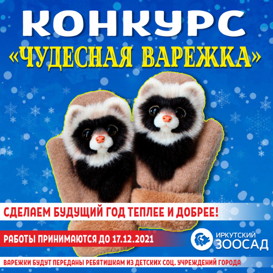 Предновогодний конкурс варежек объявил иркутский зоосад