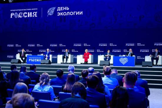 Экологическая реабилитация Усолья-Сибирского стала в России одним из главных экологических достижений года