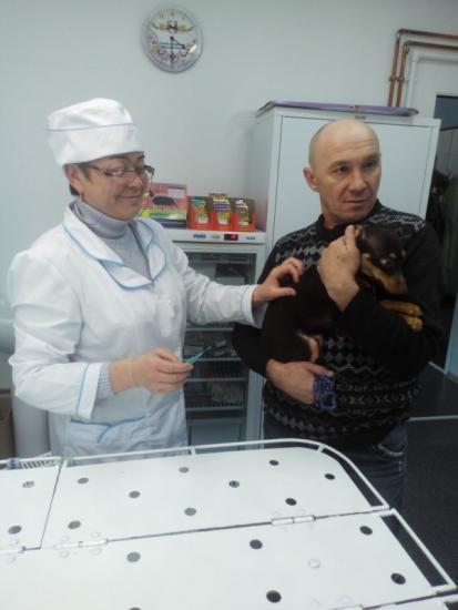 В Слюдянском районе открыта первая ветеринарная лечебница