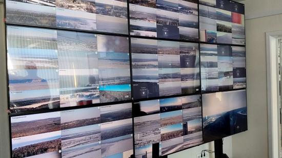 Шесть деревьев незаконно вырубили жители СНТ в городских лесах Иркутска