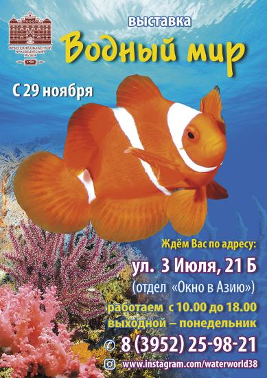 Экзотический «Водный мир» на месяц откроется в Иркутском краеведческом музее