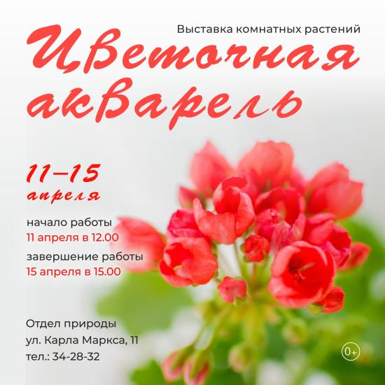 Выставка комнатных растений «Цветочная акварель» пройдет в краеведческом музее с 11 по 15 апреля