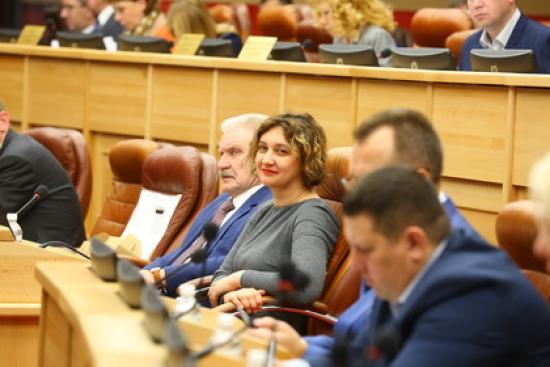 Областные парламентарии предложили облегчить налоговое бремя для учреждений культуры