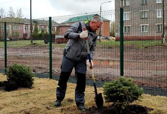 Две площадки в Братске благоустроены благодаря «Зеленой волне» РУСАЛа