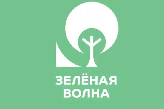 РУСАЛ подвёл итоги ежегодной экологической акции «Зелёная волна»