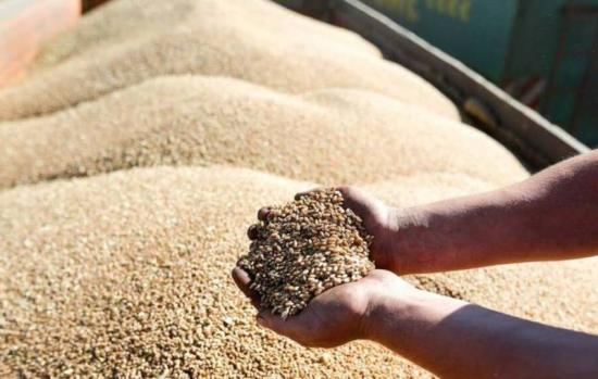 Экспорт зерновой продукции с территории Иркутской области увеличился почти в 4 раза