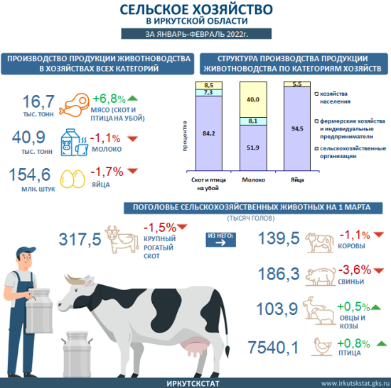 Поголовье КРС и свиней в хозяйствах Иркутской области за год сократилось на 1,5 - 3,6%