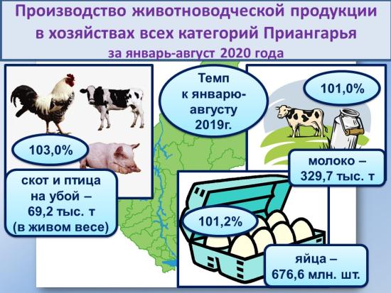 Аграрии Иркутской области нарастили производство всех основных видов животноводческой продукции