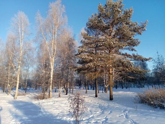 Новогодняя ночь в Иркутске будет морозной