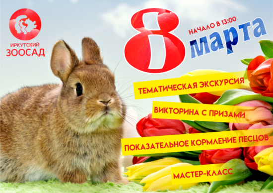 Иркутский зоосад подготовил праздничную программу к 8 марта