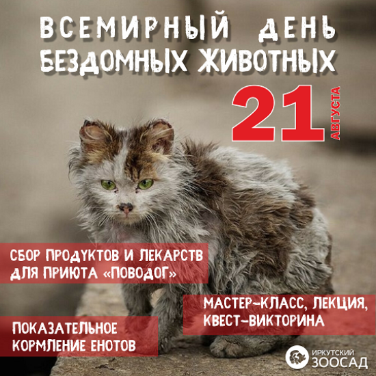 Иркутский зоосад проведет акцию по сбору помощи для обитателей приюта «Поводог»
