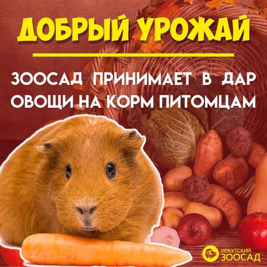Иркутский Зоосад принимает излишки урожая