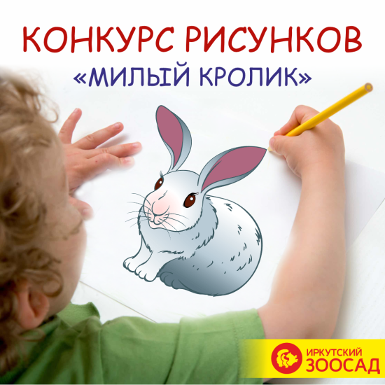 Конкурс кроличьих портретов проходит в Иркутском Зоосаде