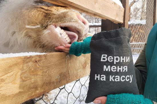 Многоразовые мешочки начали использовать для угощения питомцев в Иркутском зоосаде