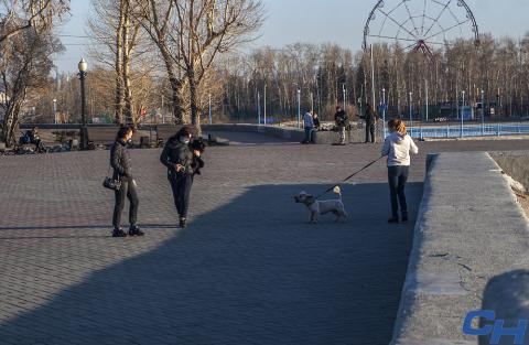 13_naberezhnaya_sobaki_ph-iao.jpg