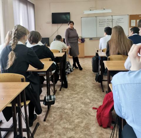 sincova_4.jpg