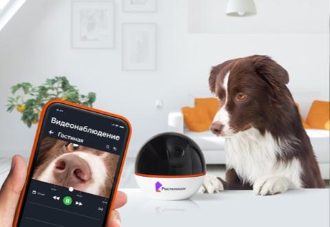 Продажи видеооборудования в розничной сети Tele2 выросли в четыре раза