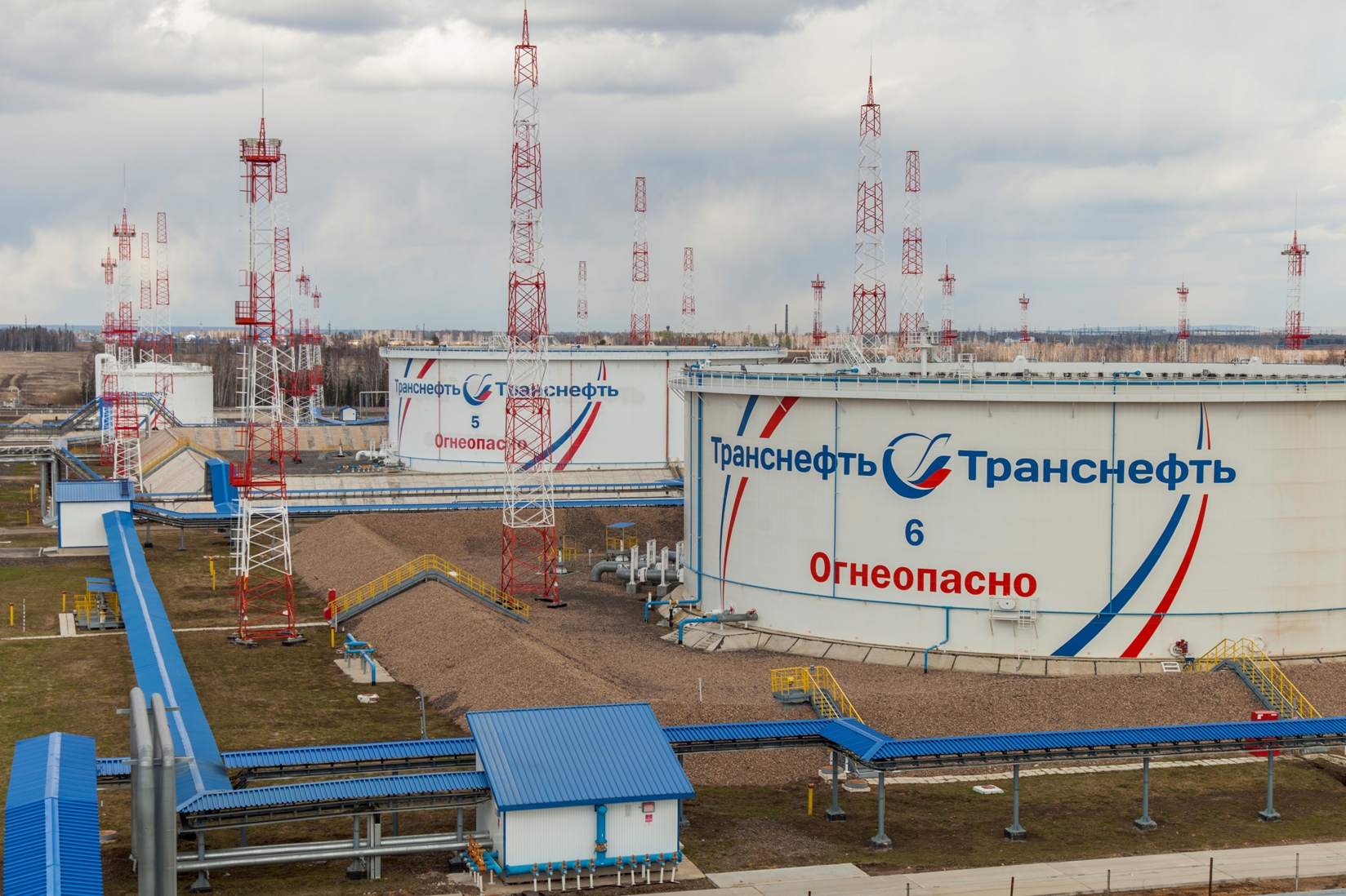 ООО «Транснефть-Восток» проводит исследование флоры в местах прохождения нефтепроводов